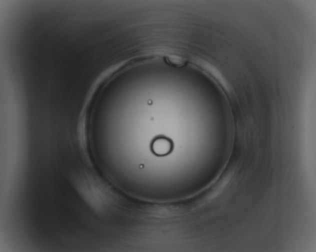 X0000101680987200807101418