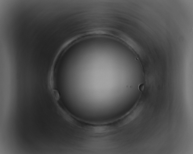 X0000101680988200807101418