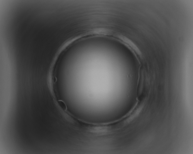 X0000101680989200807101418