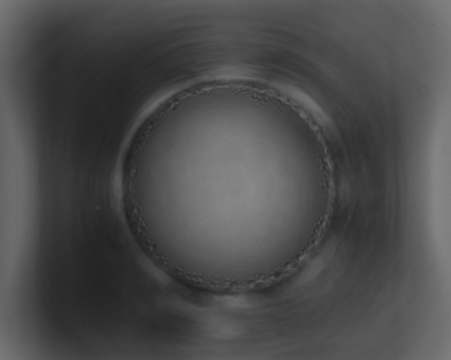 X0000101680990200807101418