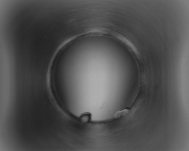 X0000101680991200807101418