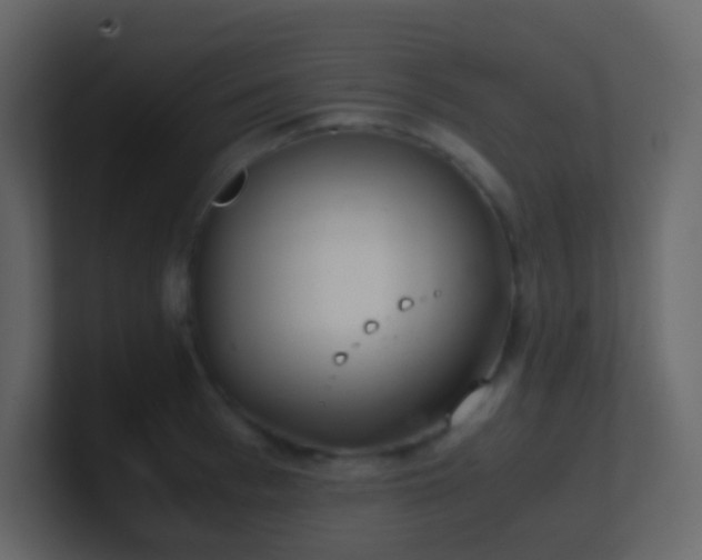 X0000101680993200807101418