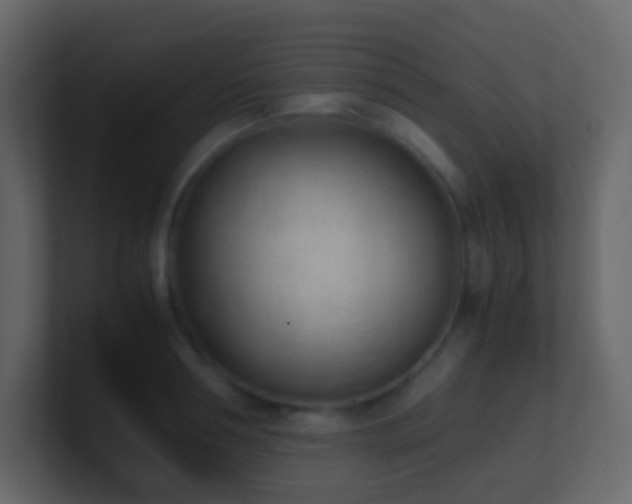 X0000101680994200807101418