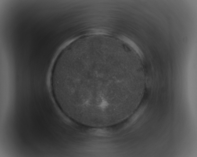 X0000101680995200807101417