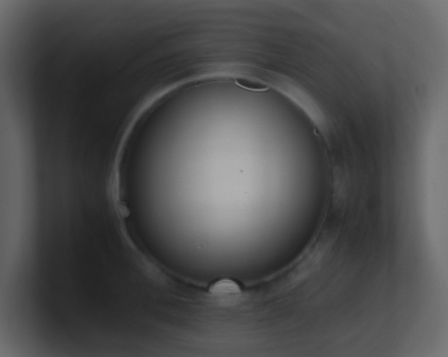 X0000101680996200807101417