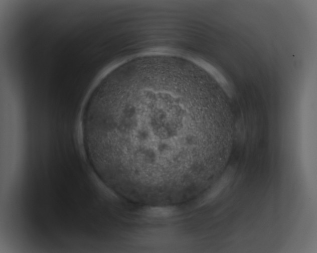 X0000101680998200807101417