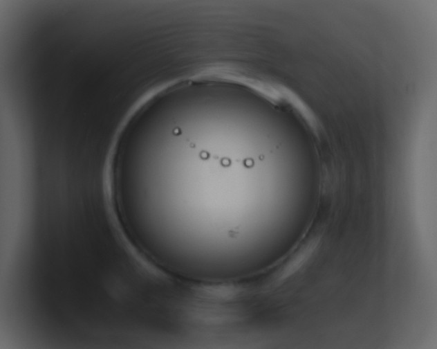 X0000101680999200807101417