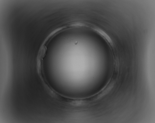 X0000101681000200807101417