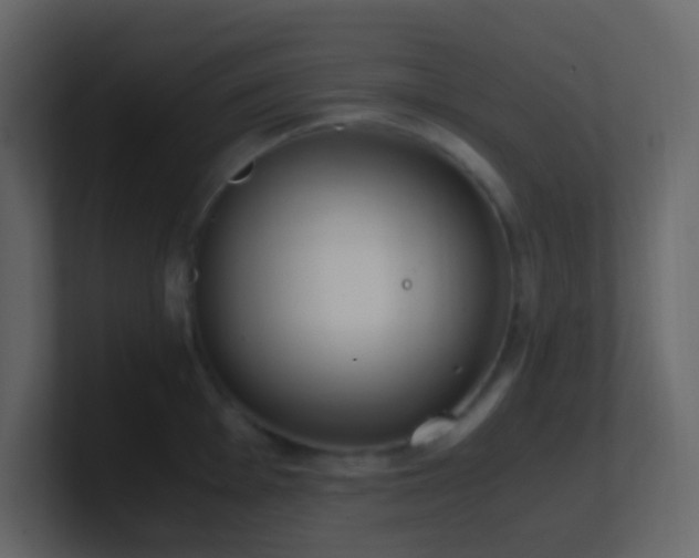 X0000101681001200807101417