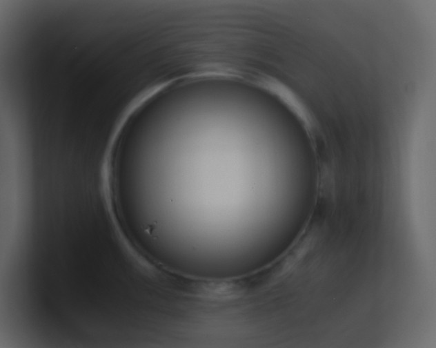 X0000101681003200807101417