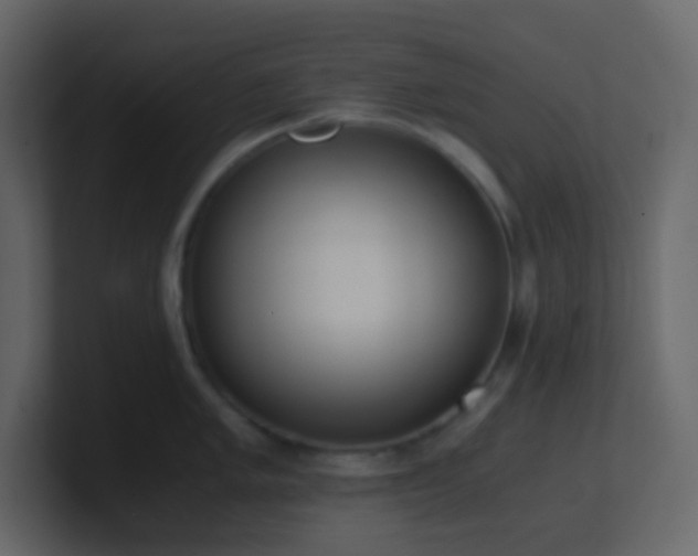 X0000101681005200807101417