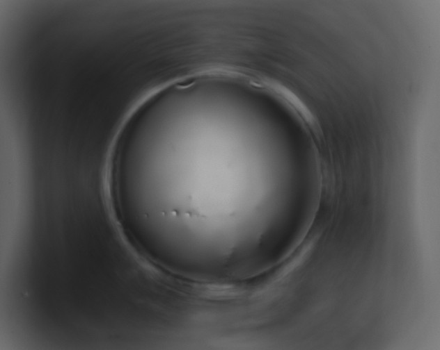 X0000101681007200807101417