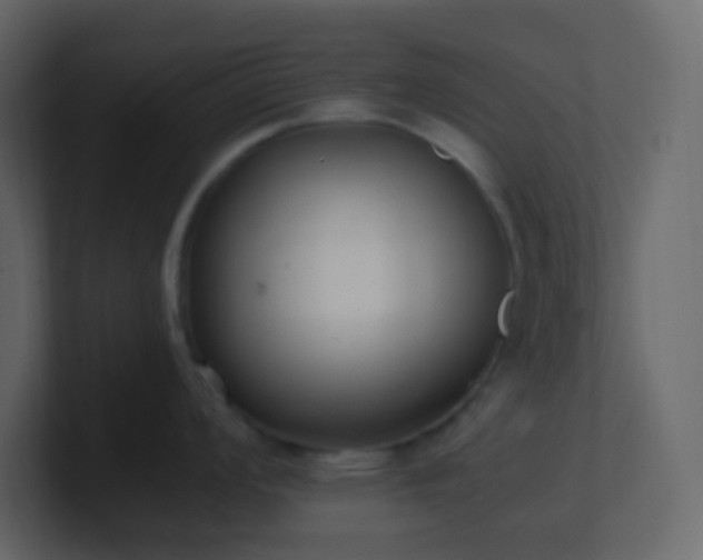 X0000101681008200807101417