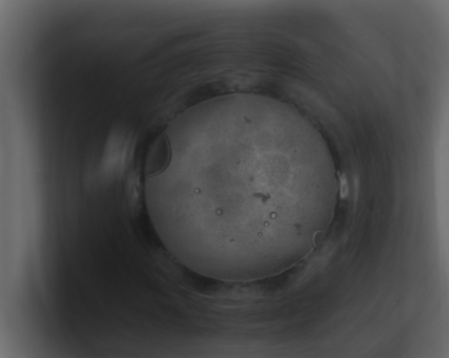 X0000101681011200807101417