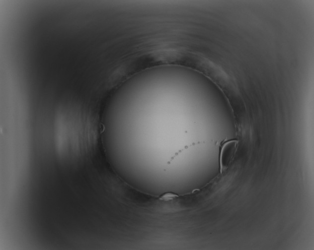 X0000101681012200807101417