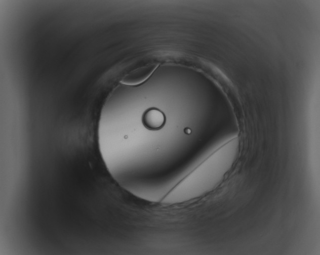 X0000101681016200807101417