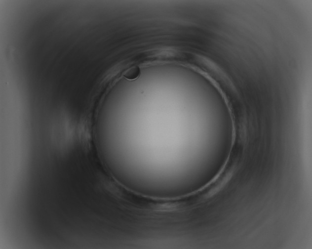 X0000101681017200807101417