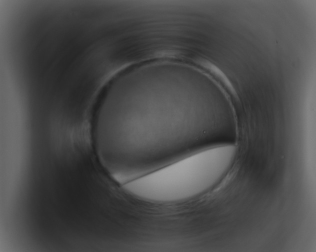 X0000101681019200807101417