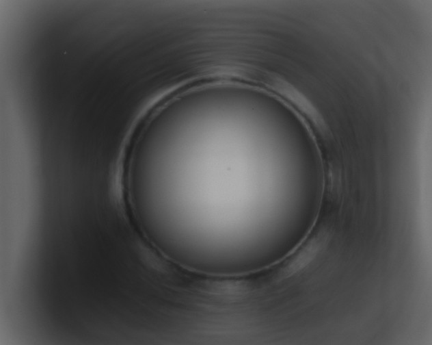 X0000101681020200807101417