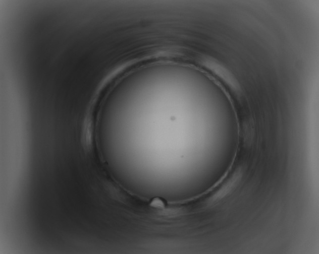 X0000101681021200807101417