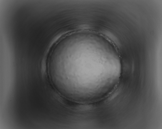 X0000101681023200807101417