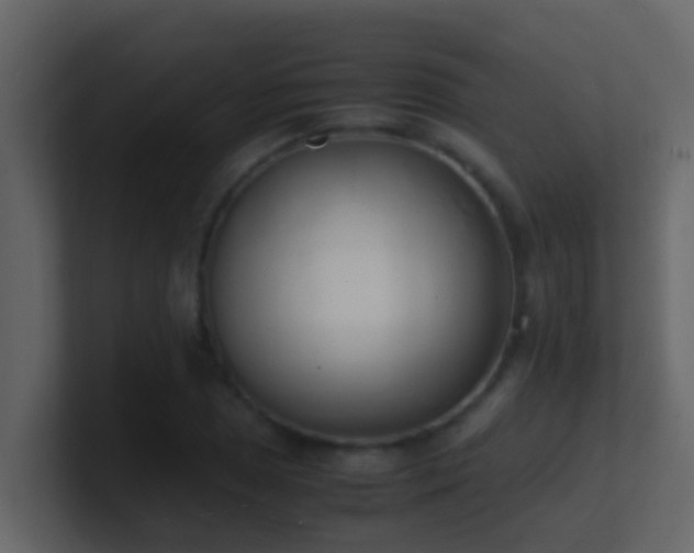 X0000101681025200807101417