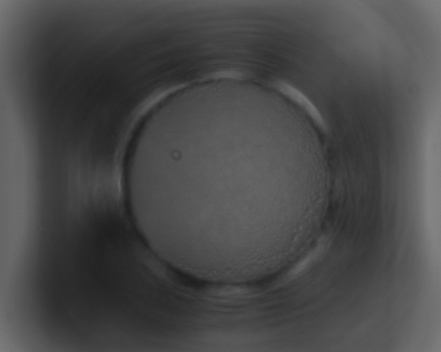 X0000101681027200807101417