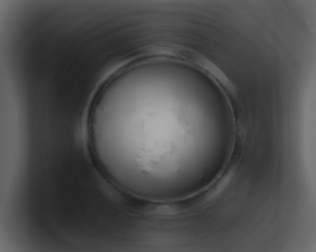 X0000101681028200807101417