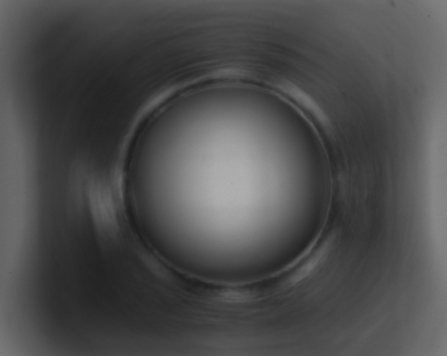 X0000101681029200807101417