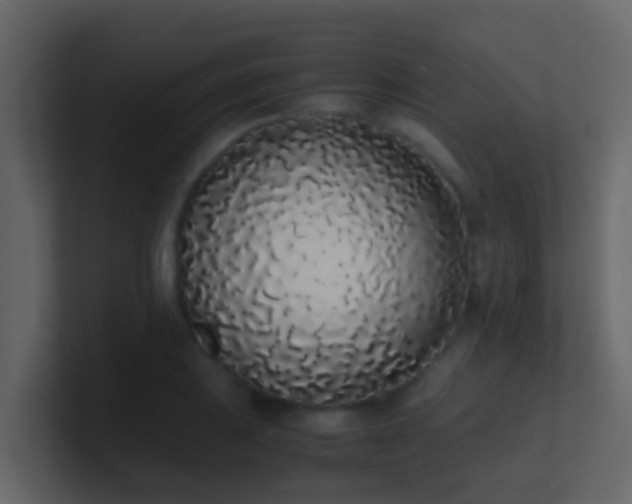 X0000101681031200807101417