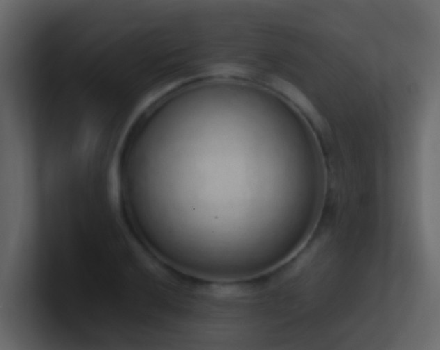 X0000101681032200807101417