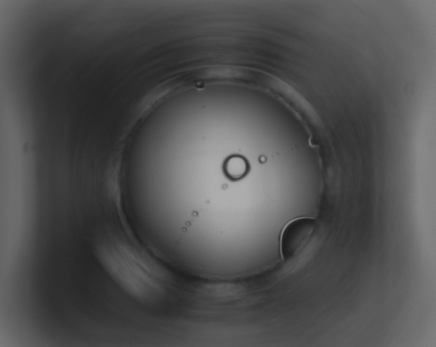 X0000101681033200807101417