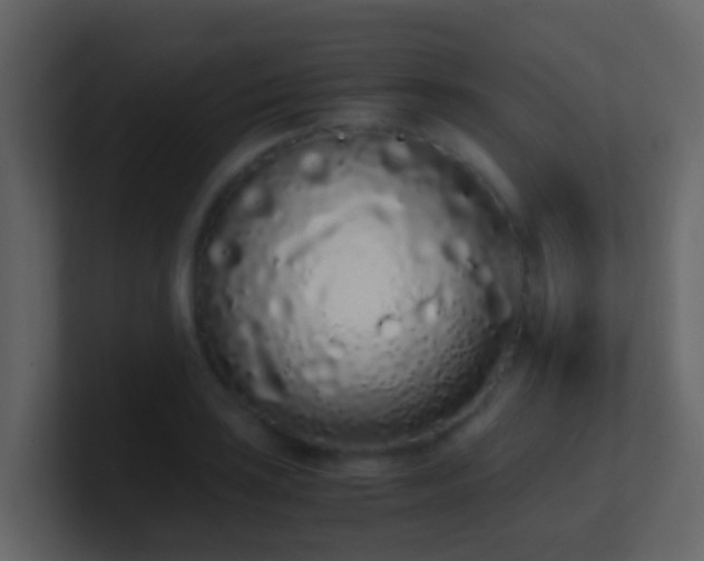 X0000101681035200807101417