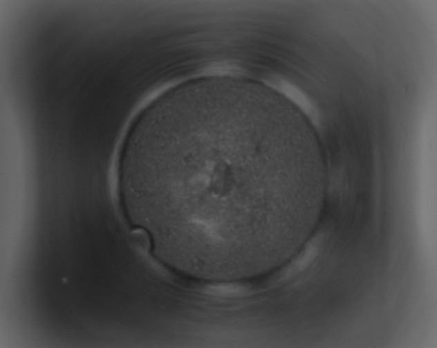 X0000101681037200807101417