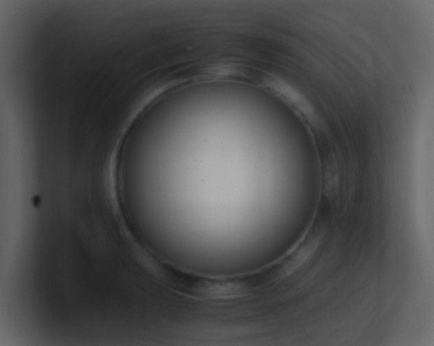 X0000101681039200807101417