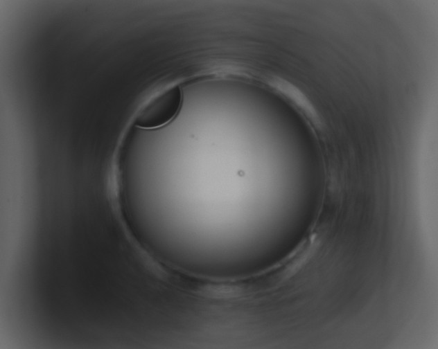 X0000101681040200807101417