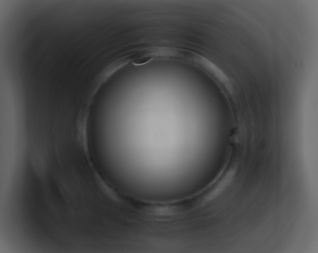 X0000101681041200807101417