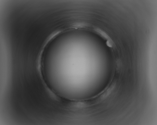 X0000101681042200807101417