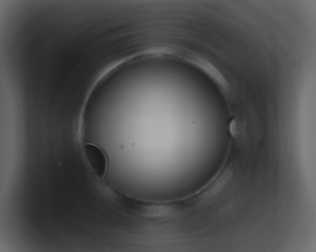 X0000101681044200807101417