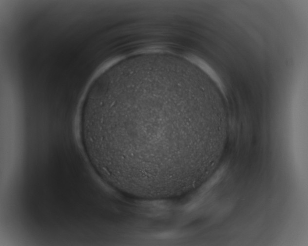 X0000101681045200807101417