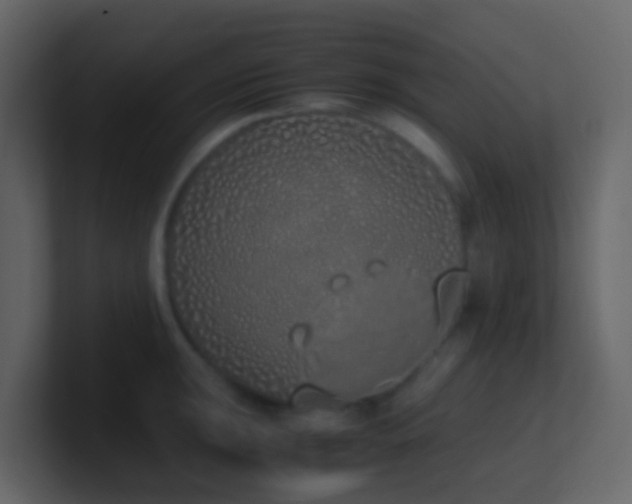 X0000101681047200807101417