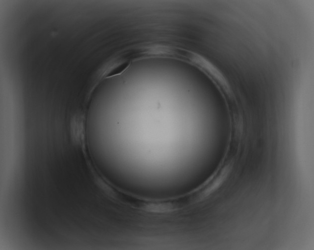 X0000101681049200807101417