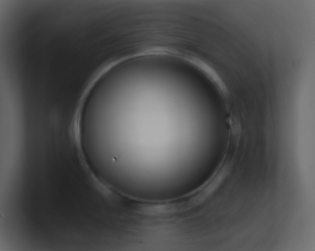 X0000101681054200807101417