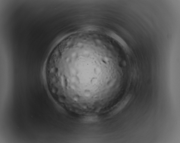 X0000101681055200807101417