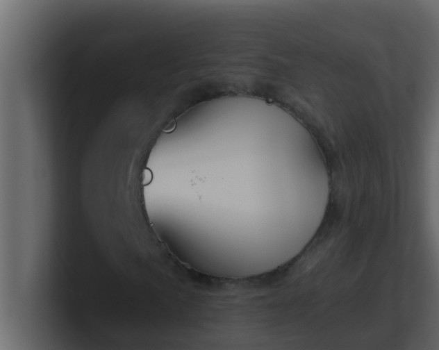 X0000101681057200807101417