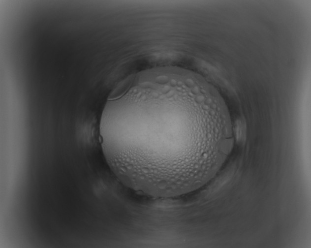 X0000101681059200807101417