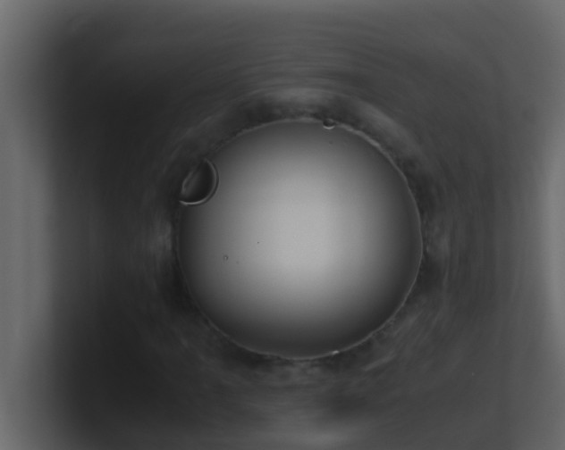 X0000101681061200807101417