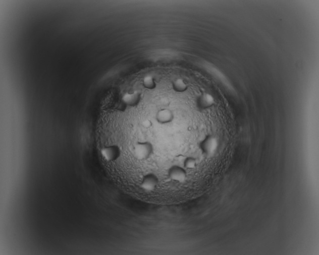 X0000101681063200807101417