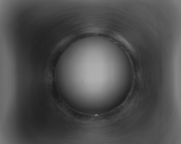 X0000101681064200807101417