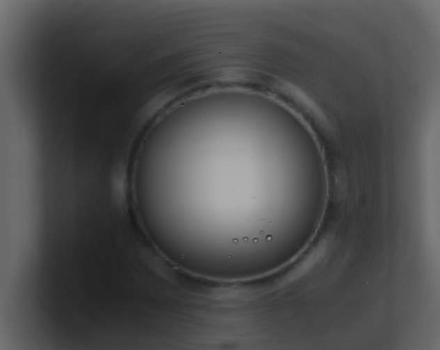 X0000101681065200807101417